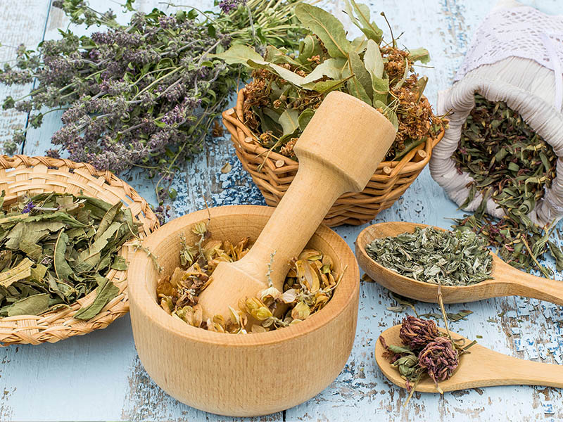 Phytothérapie-pharmacie-deboeuf-poce-sur-cisse
